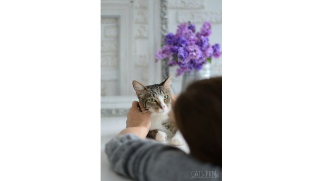 Matilda