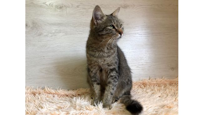 Matilda