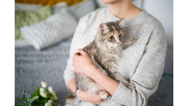 Juliet