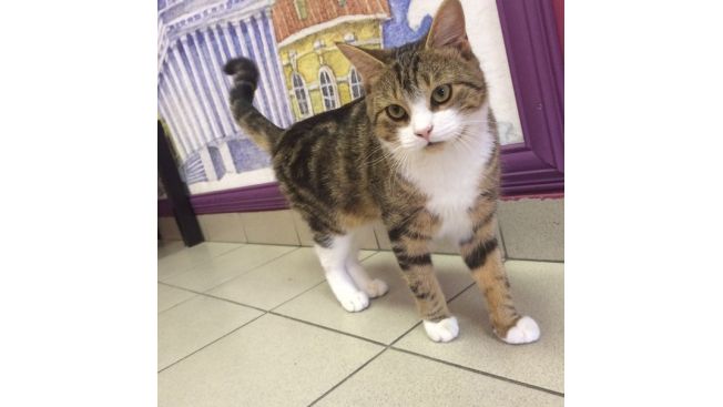 Maru-do-eron