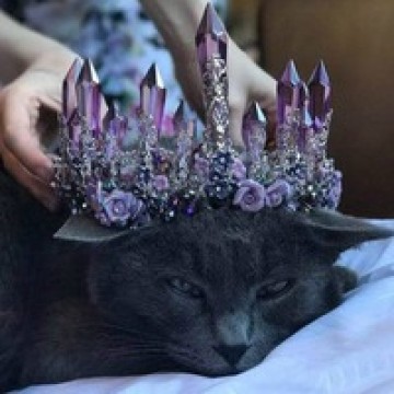 Гульзида Зарипова