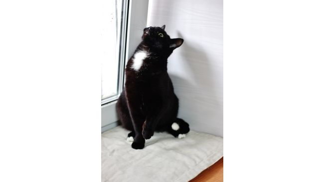 Robert
