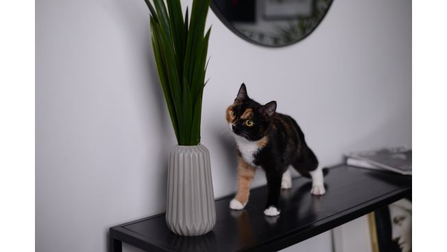 Riki